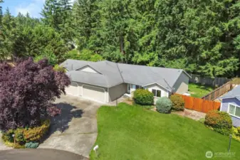 Backed by Mature Trees for Optimal Privacy