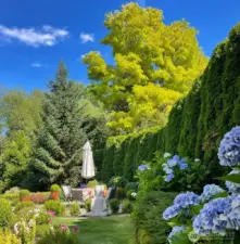 A garden in the backyard with flagstones patio.