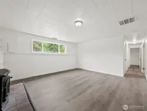 Main House Basement Bonus Room