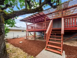 Main House Back Yard