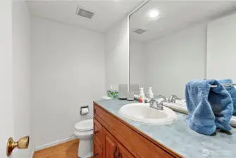 Guest Bath 1 - Lower Level