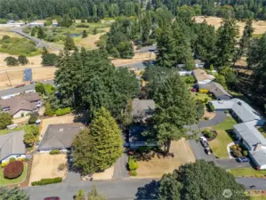 Large Corner Lot in Quiet Neighborhood