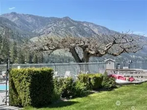 Watson's swimming pool