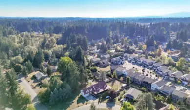 Welcome to 1309 Livingston St SE, a hidden gem in the heart of Lacey! This stunning home offers the perfect blend of comfort, charm, and modern living. With its eye-catching curb appeal and spacious layout, you’ll love entertaining friends or enjoying peaceful evenings at home. Nestled in a friendly neighborhood surrounded by lush greenery, this home puts you minutes from schools, shopping, and outdoor recreation. Whether you’re drawn to the inviting interior, the relaxing yard, or the unbeatable location—this is more than just a house, it’s the lifestyle you’ve been waiting for!