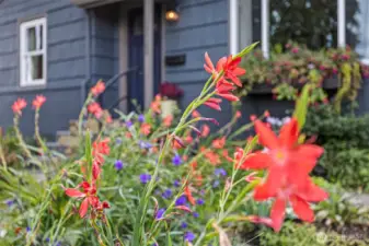 Beautiful landscaping with native and rare plants
