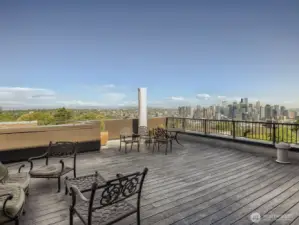 Roof Deck with great city and cascade views.