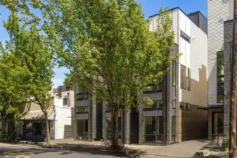 This collection of thoughtfully designed homes stands out with clean lines, symmetry, and native landscaping.