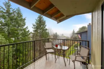 Large patio off the living room