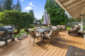 Spacious elevated Treckdeck with outdoor speakers.