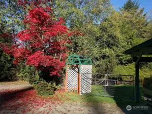 Rose arbor and access gate