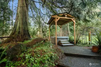 Wired for hot tub, covered structure, picnic table? hot tub? patio off lower level, giant cedar