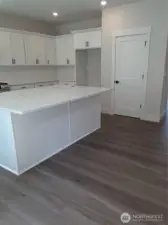 Expansive kitchen island with convenient panty storage, which is directly across from an additional family room area.