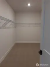 Generous primary walk-in closet.