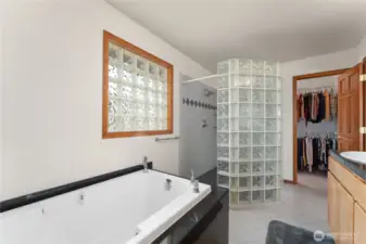 Primary bathroom with large walk-in shower and walk-in closet.