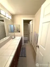 Bathroom 1 sink and counter top