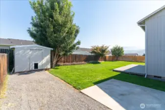 Backyard with irrigation