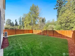 Picture of the actual HUGE back yard!