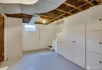Tons of cabinet space in basement