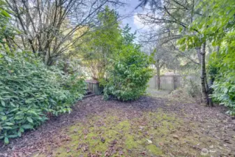 Stairs from lower back yard to upper back yard