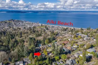 Walk to Alki in just minutes from your home