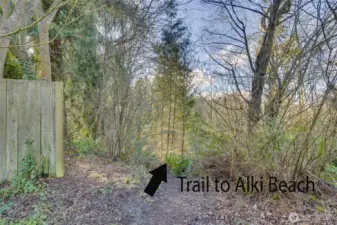 Trail to Alki Beach just steps from your front door