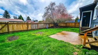 Fenced backyard to enjoy!  Concrete patio for enjoyment.  That tree look gorgeous when in bloom!