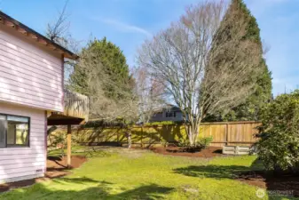 Backyard w/Space for Gardening
