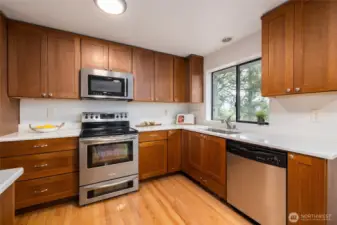 Kitchen with 2007 installed cabinets and solid surface countertops.