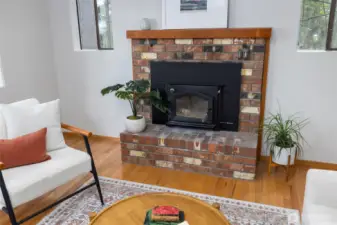 Wood burning stove fireplace, with large viewing window.