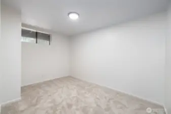 Lower level back bedroom.