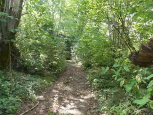Meandering wooded trail runs along the river ~ easy to preview all available sites.