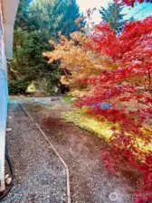 Trail Around the back of Home