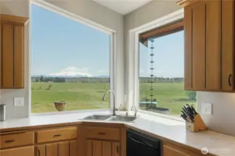Windows frame the view perfectly!