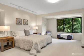 Spacious Primary bedroom in upper level.