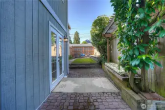 Bench and trellis right at the back door