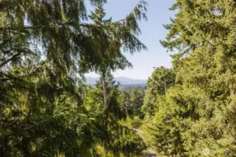 Here's the peek a boo mountain view!