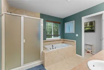 Main Bath with Dual Sinks and spacious Walk In CLoset