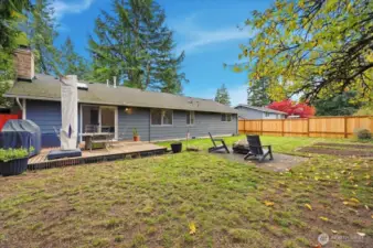 Large Sunny Backyard