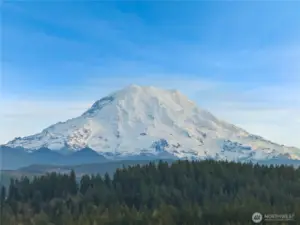 Just a few yards from this house is full view of Mt. Rainier...take a walk and enjoy!