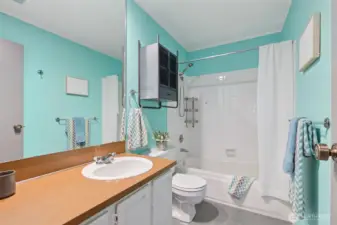 The secondary bath provides soaking space. Note the update plumbing fixtures and clever installed storage cabinet. Updates like these are found throughout the home to blend storage and function with style.
