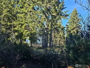 Peek a boo view of the golf course and the Olympics