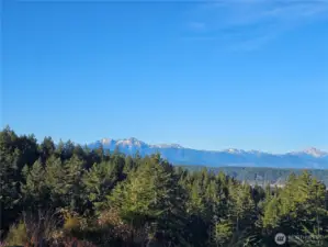 The view of the Olympics from the Club House