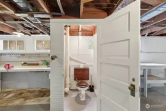 Original toilet in basement