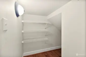 Closet under stairs for ample storage.