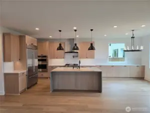 Beautiful Quartz, Quartzite, Extra, Upgraded Cabinetry and Lighting.