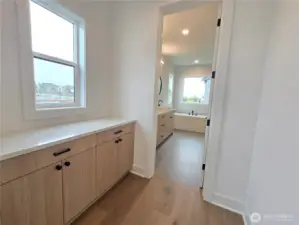 Cabinetry Between Primary and Primary Bath