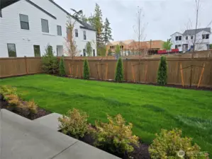 Expansive, Fully Fenced Backyard