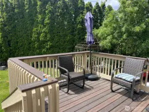 Deck of the back of the house over looking the private back yard.