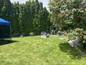 Nice big back yard with lots of planted flowers.