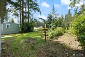 Well established garden area with raspberries
